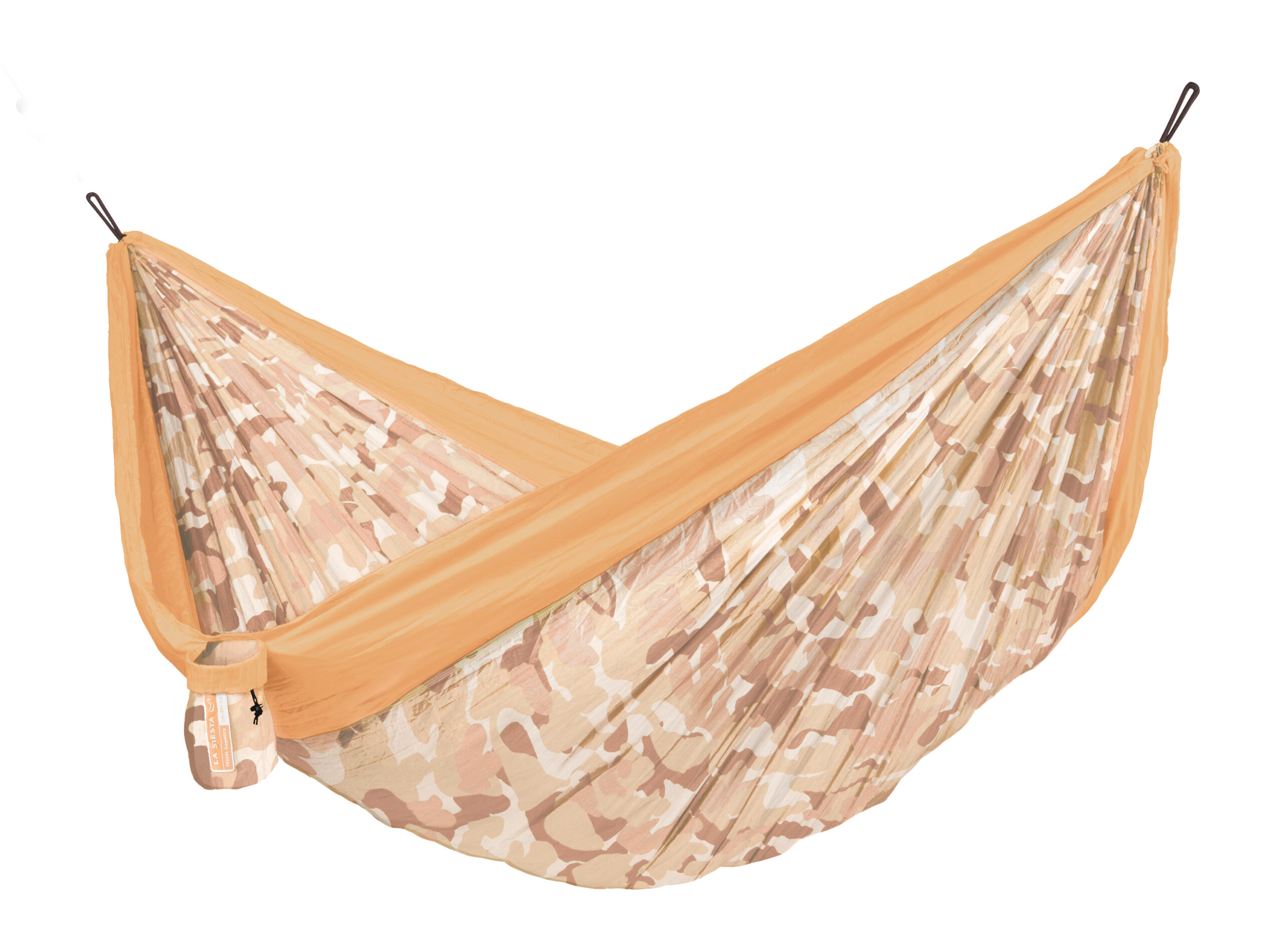 clt19-c6_cutout_001
